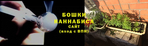 jwh Пересвет