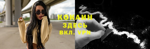 jwh Пересвет