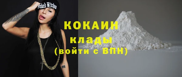 jwh Пересвет