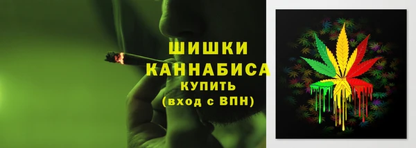 молекула духа Пестово