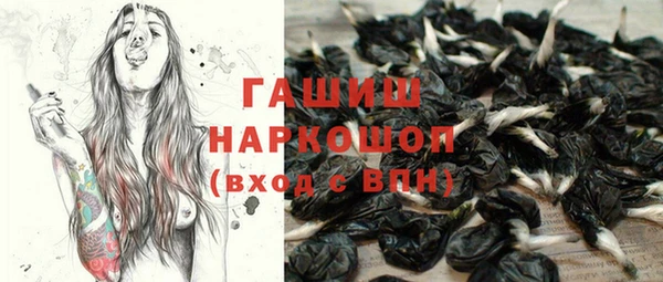 гидра Переславль-Залесский