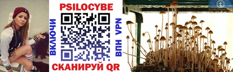Псилоцибиновые грибы Magic Shrooms  Сертолово 
