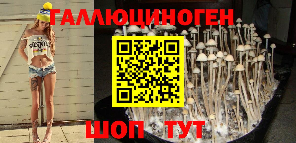 Сертолово  купить   Вход с VPN  Галлюциногенные грибы мицелий 